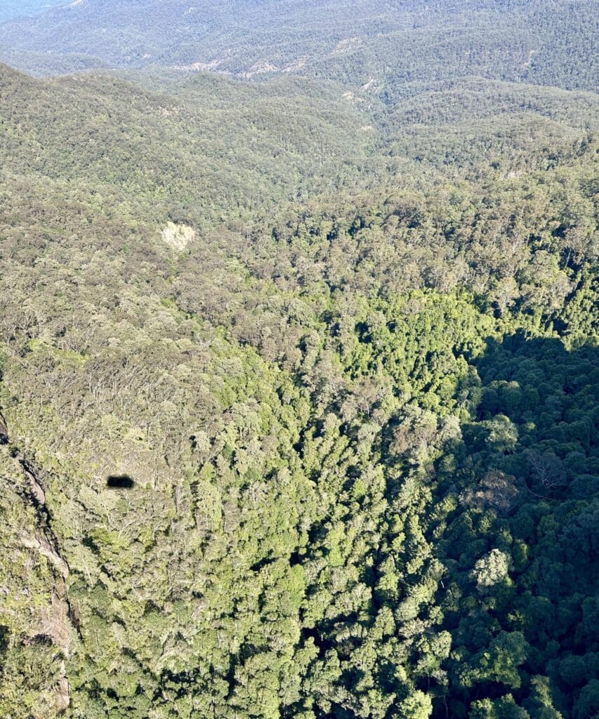 藍山國家公園完全攻略:體驗澳洲最美壯麗山景 Australia Sydney Blue Mountain 14
