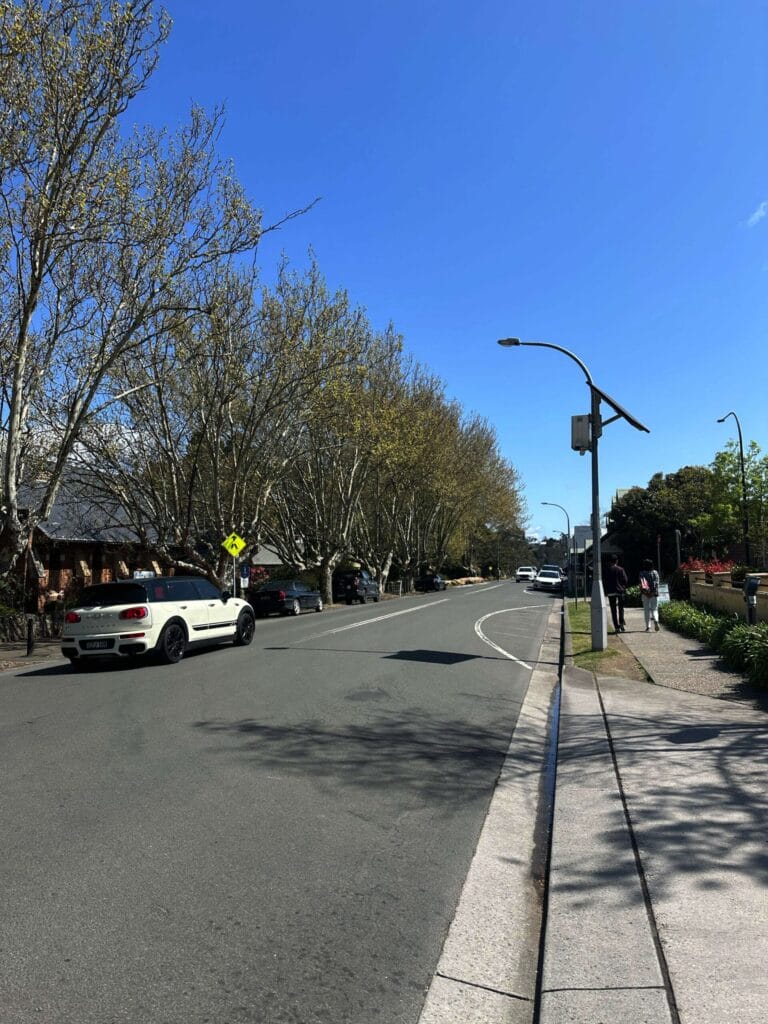 藍山國家公園完全攻略:體驗澳洲最美壯麗山景 Australia Sydney Blue Mountain 31