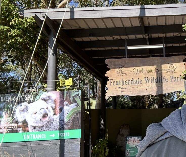 翎羽谷野生动物园攻略:如何近距離接觸澳洲萌寵 Australia Sydney Featherdale Wildlife Park 1