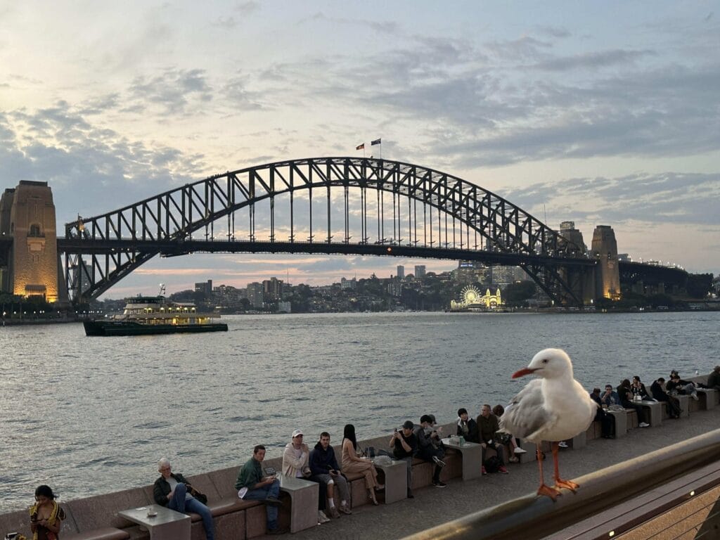 雪梨港灣大橋攀爬指南:最佳時間、價格及內部秘訣 Australia Sydney 5