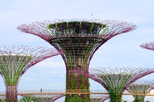 滨海湾花园 (Gardens By The Bay) 終極攻略 | 门票及交通 ChIJMxZ kwQZ2jERdsqftXeWCWI