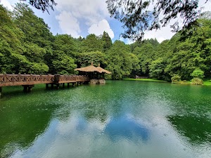 阿里山攻略 避開人潮、搶拍雲海日出,一篇搞定森林鐵路與住宿訂房