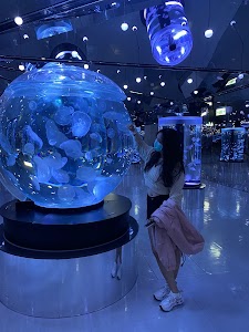 Xpark水族館攻略 全方位體驗指南,避開人潮秘技大公開 ChIJd3rqSgUhaDQR7zOGQANlvj8