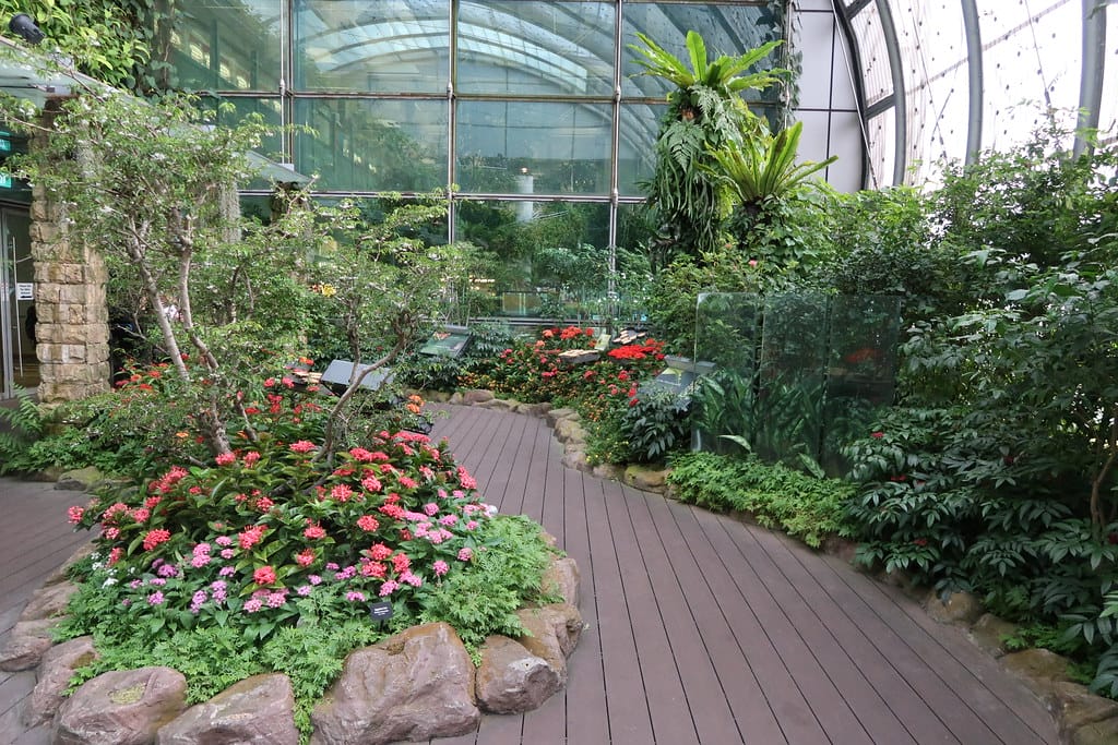 星耀樟宜機場 (Jewel Changi Airport)完全攻略:轉機時間 Changi Airport Butterfly Garden