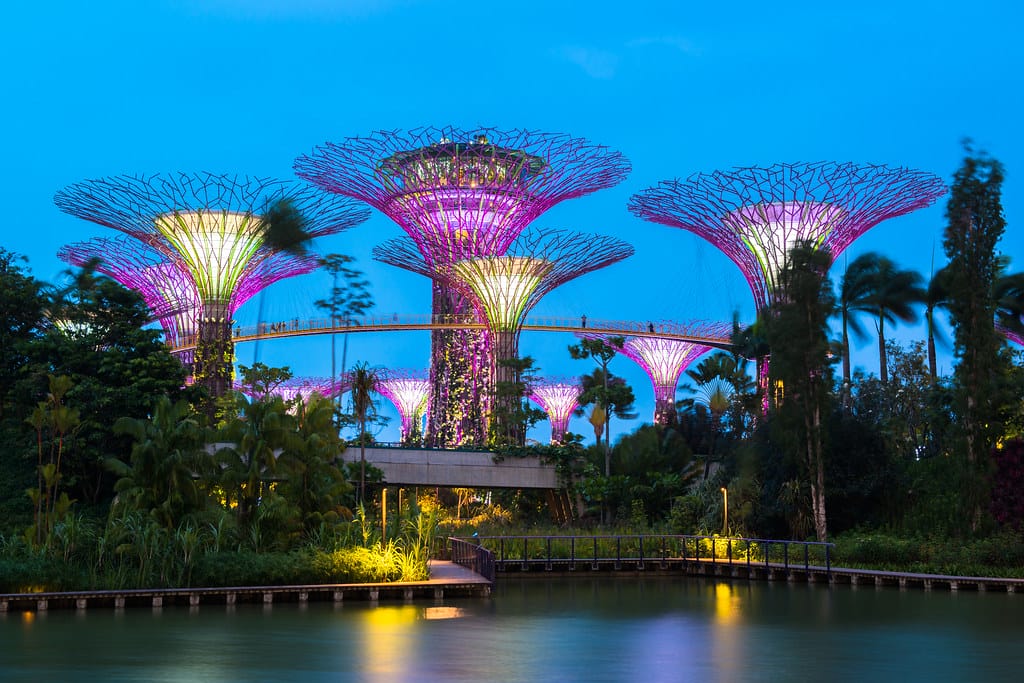 滨海湾花园 (Gardens By The Bay) 終極攻略 | 门票及交通 Gardens by the Bay SuperTree Grove in Singapore