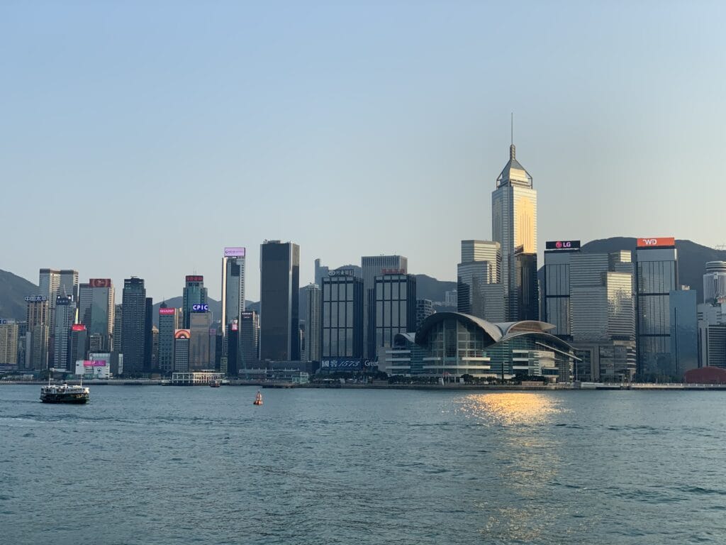 IMG 0485 2