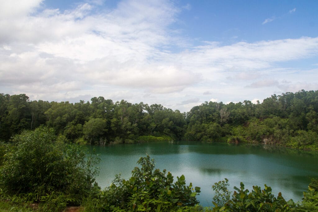 烏敏島一日遊全攻略:新加坡最後的自然秘境,遠離喧囂的綠洲 Singapore A lake on Pulau Ubin panoramio