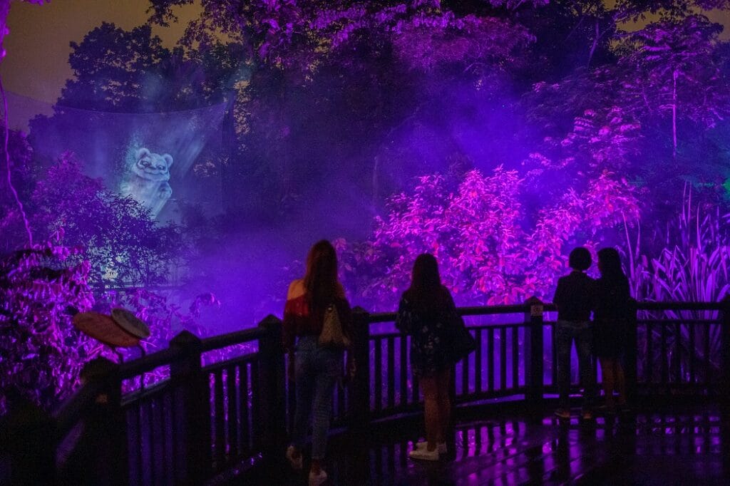 Singapore Night Safari Rainforest Lumina