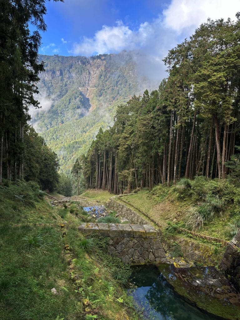 阿里山攻略 避開人潮、搶拍雲海日出,一篇搞定森林鐵路與住宿訂房 Taiwan Chiayi Alishan National Forest Recreation Area 阿里山國家森林遊樂區 13