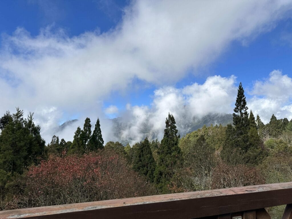阿里山攻略 避開人潮、搶拍雲海日出,一篇搞定森林鐵路與住宿訂房 Taiwan Chiayi Alishan National Forest Recreation Area 阿里山國家森林遊樂區 16