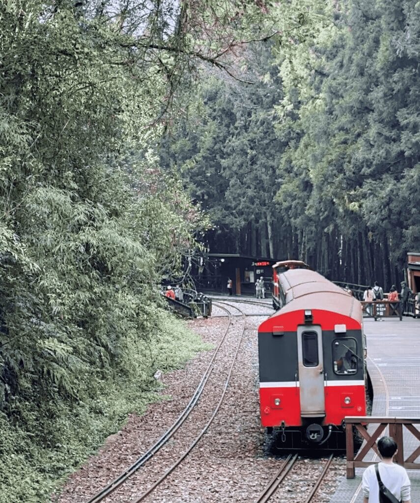 阿里山攻略 避開人潮、搶拍雲海日出,一篇搞定森林鐵路與住宿訂房 Taiwan Chiayi Alishan National Forest Recreation Area 阿里山國家森林遊樂區 1 RN