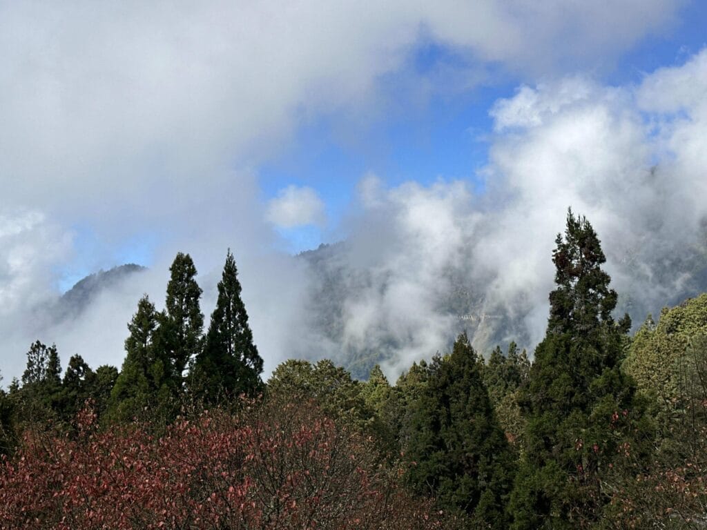 阿里山攻略 避開人潮、搶拍雲海日出,一篇搞定森林鐵路與住宿訂房 Taiwan Chiayi Alishan National Forest Recreation Area 阿里山國家森林遊樂區 20
