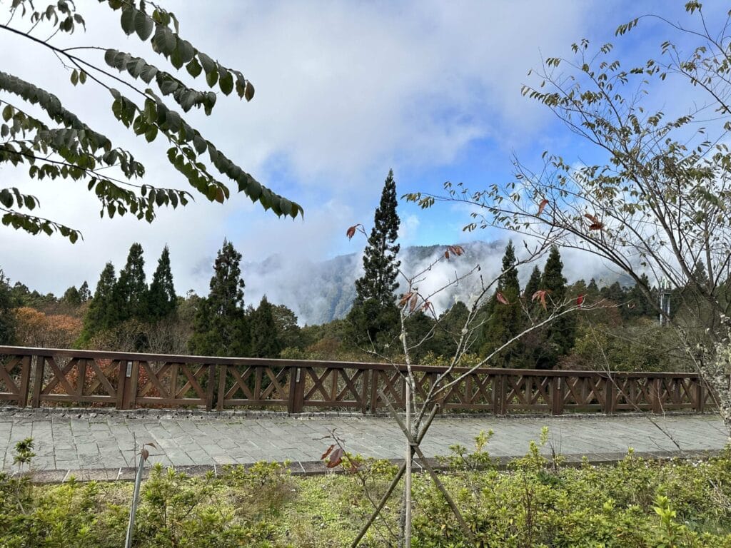 阿里山攻略 避開人潮、搶拍雲海日出,一篇搞定森林鐵路與住宿訂房 Taiwan Chiayi Alishan National Forest Recreation Area 阿里山國家森林遊樂區 21