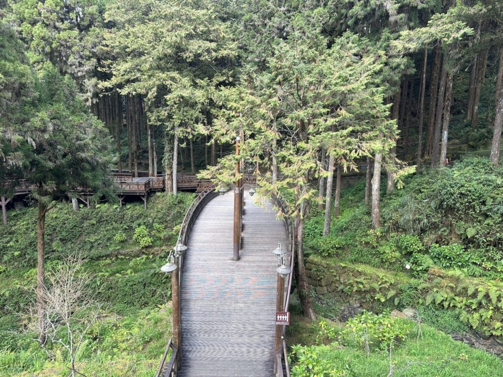阿里山攻略 避開人潮、搶拍雲海日出,一篇搞定森林鐵路與住宿訂房 Taiwan Chiayi Alishan National Forest Recreation Area 阿里山國家森林遊樂區 4