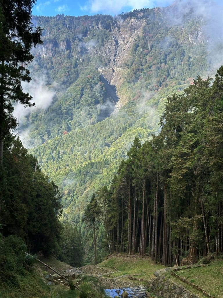 阿里山攻略 避開人潮、搶拍雲海日出,一篇搞定森林鐵路與住宿訂房 Taiwan Chiayi Alishan National Forest Recreation Area 阿里山國家森林遊樂區 6 1