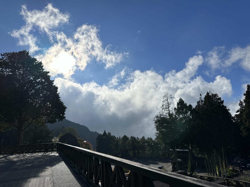 阿里山攻略 避開人潮、搶拍雲海日出,一篇搞定森林鐵路與住宿訂房 Taiwan Chiayi Alishan National Forest Recreation Area 阿里山國家森林遊樂區 8