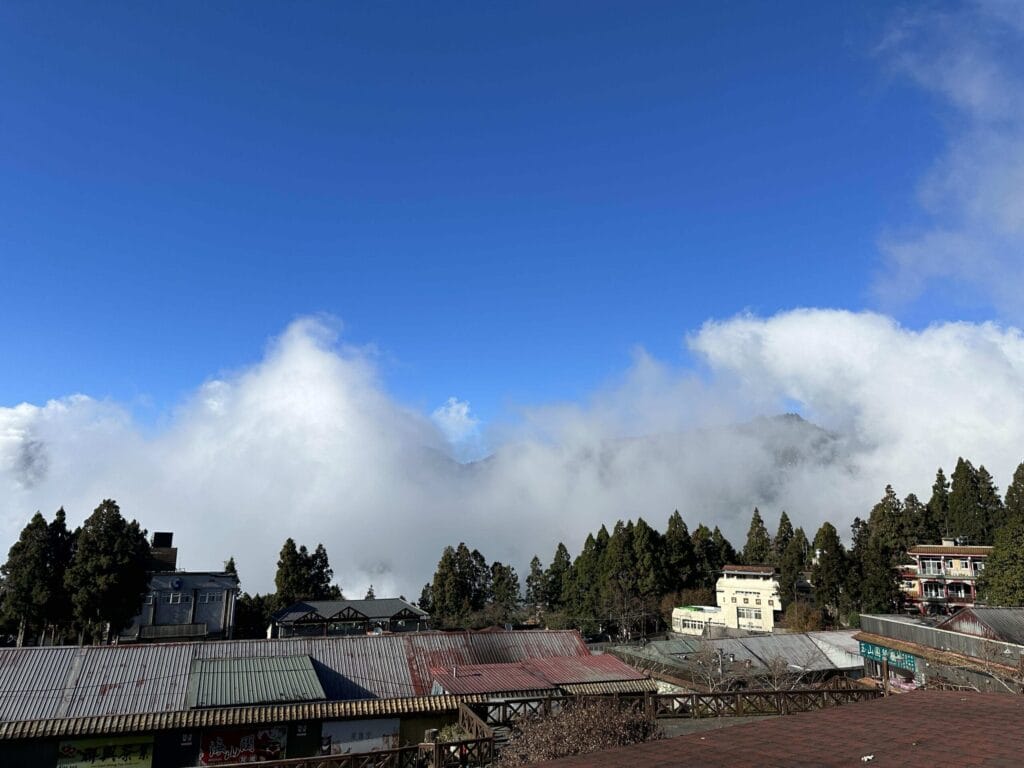 阿里山攻略 避開人潮、搶拍雲海日出,一篇搞定森林鐵路與住宿訂房 Taiwan Chiayi Alishan National Forest Recreation Area 阿里山國家森林遊樂區 9