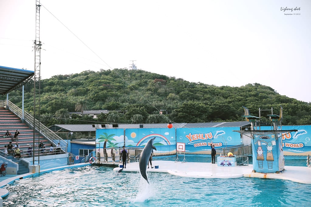 野柳地質公園攻略:避開人潮,探索台灣最獨特地質奇觀 Taiwan New Taipei Yehliu Geopark 野柳海洋世界