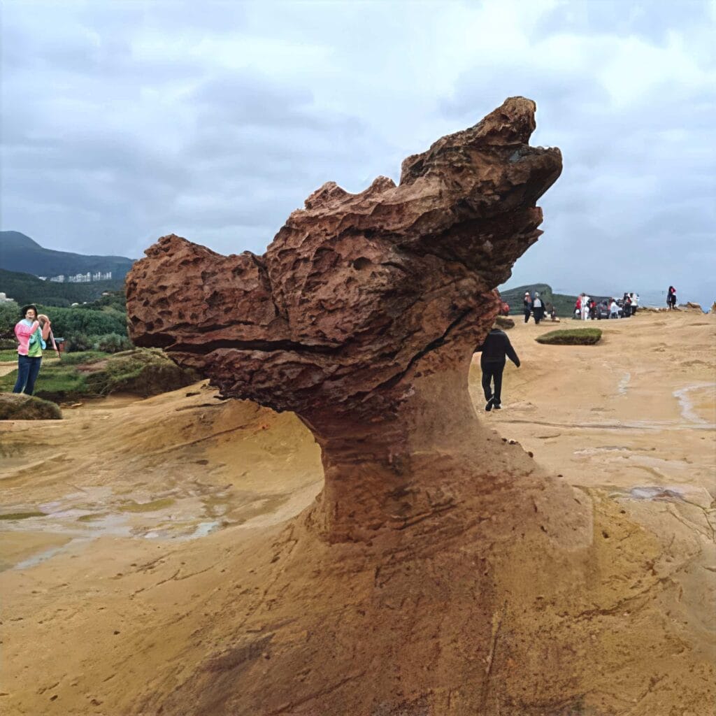 野柳地質公園攻略:避開人潮,探索台灣最獨特地質奇觀 Taiwan New Taipei Yehliu Geopark9