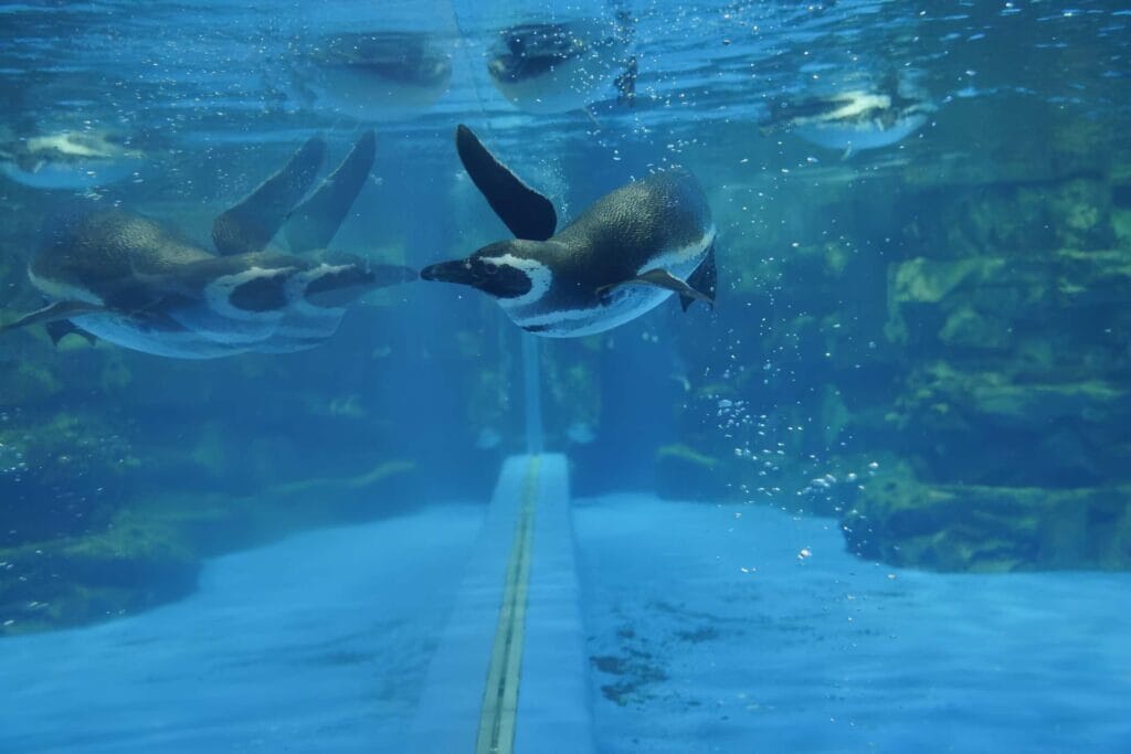 Xpark水族館攻略 全方位體驗指南,避開人潮秘技大公開 Taiwan Taoyuan Xpark Aquarium Xpark水族館 7 RN 1