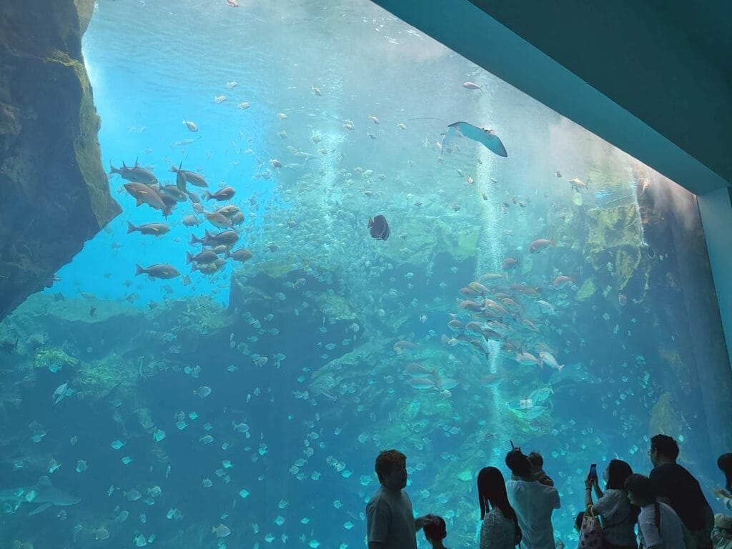 Xpark水族館攻略 全方位體驗指南,避開人潮秘技大公開 Taiwan Taoyuan Xpark Aquarium Xpark水族館 8 RN