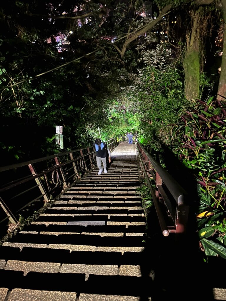 台北101|最佳拍照角度、避開人潮技巧全攻略 Taiwan 臺北 台北101 4