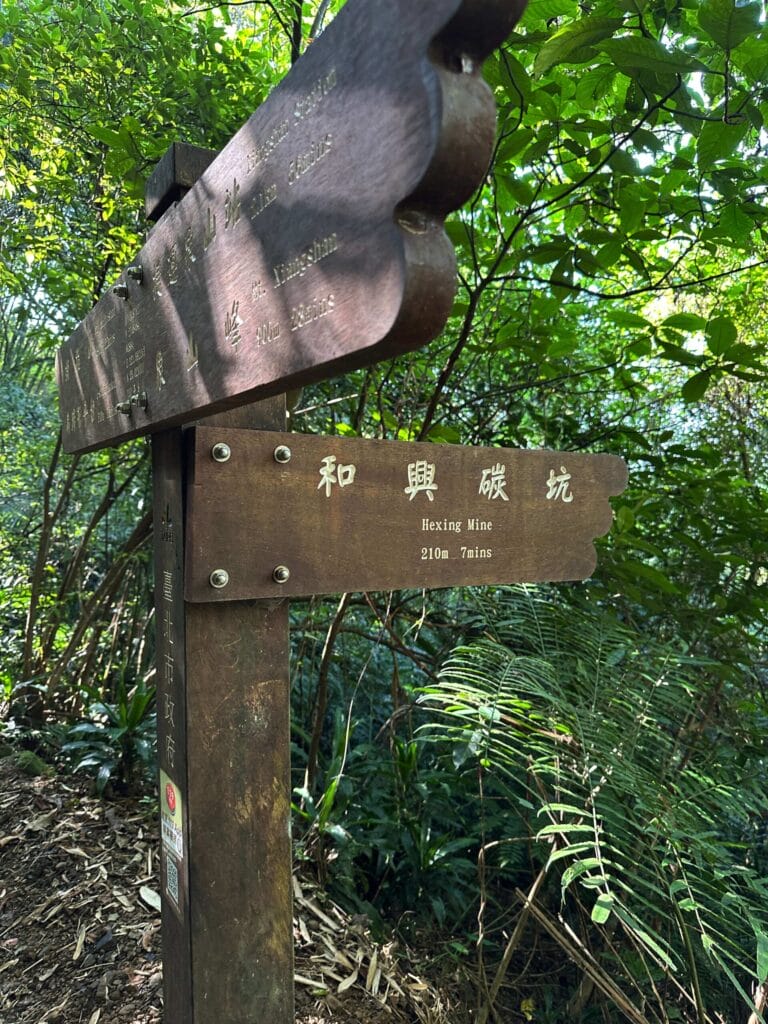 台北101|最佳拍照角度、避開人潮技巧全攻略 Taiwan 臺北 台北101 7