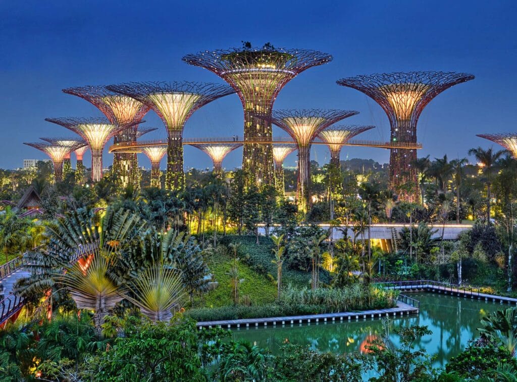 滨海湾花园 (Gardens By The Bay) 終極攻略 | 门票及交通 supertree show