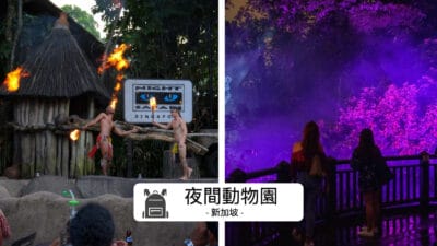 夜間動物園 Night Safari 終極攻