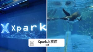 探索 Xpark 水族館：台灣沉浸式海底奇境