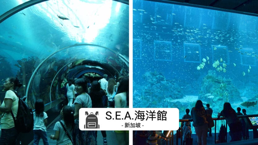 新加坡S.E.A.海洋館全攻略 2