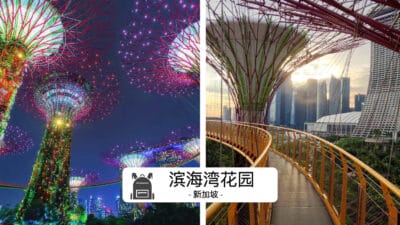 滨海湾花园 Gardens by the Bay 終極攻略
