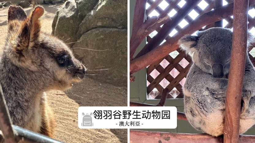 翎羽谷野生动物园攻略