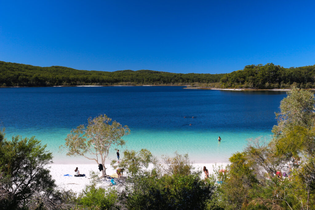 弗雷澤島 旅遊攻略:機票・住宿・景點・活動 Australia Queensland Fraser Island Lake McKenzie