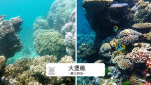 Great Barrier Reef大堡礁