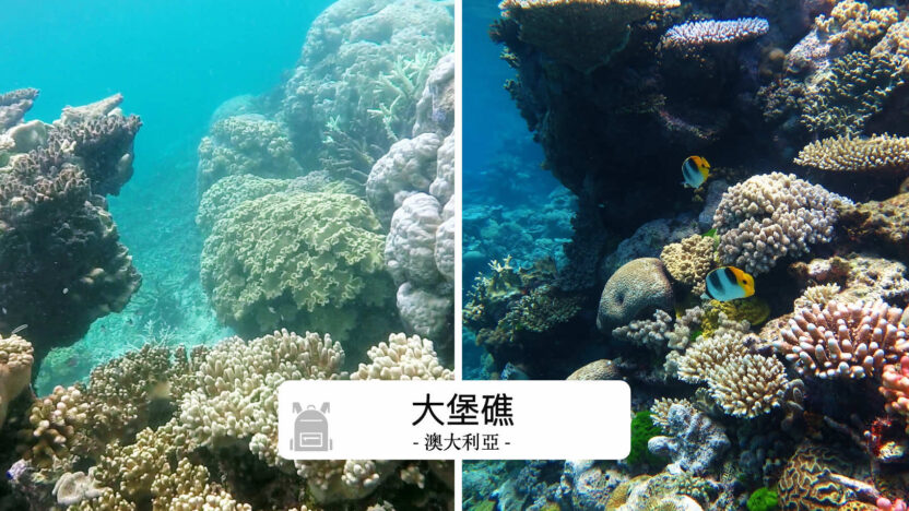 Great Barrier Reef大堡礁