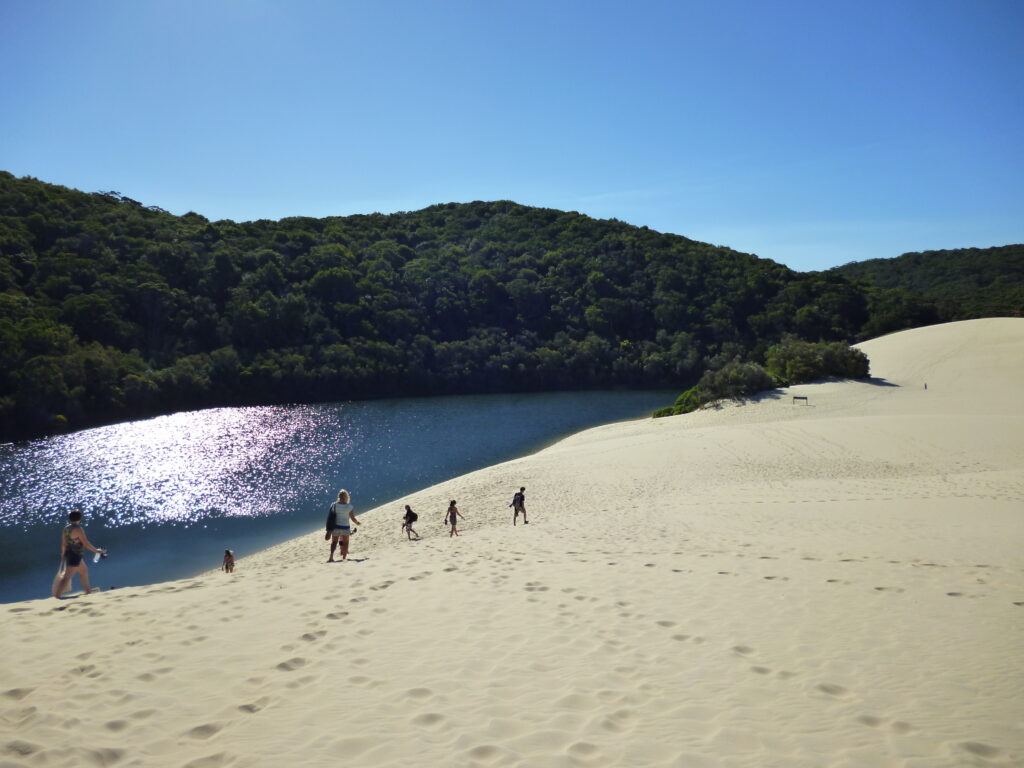弗雷澤島 旅遊攻略:機票・住宿・景點・活動 Lake Wabby on Fraser Island