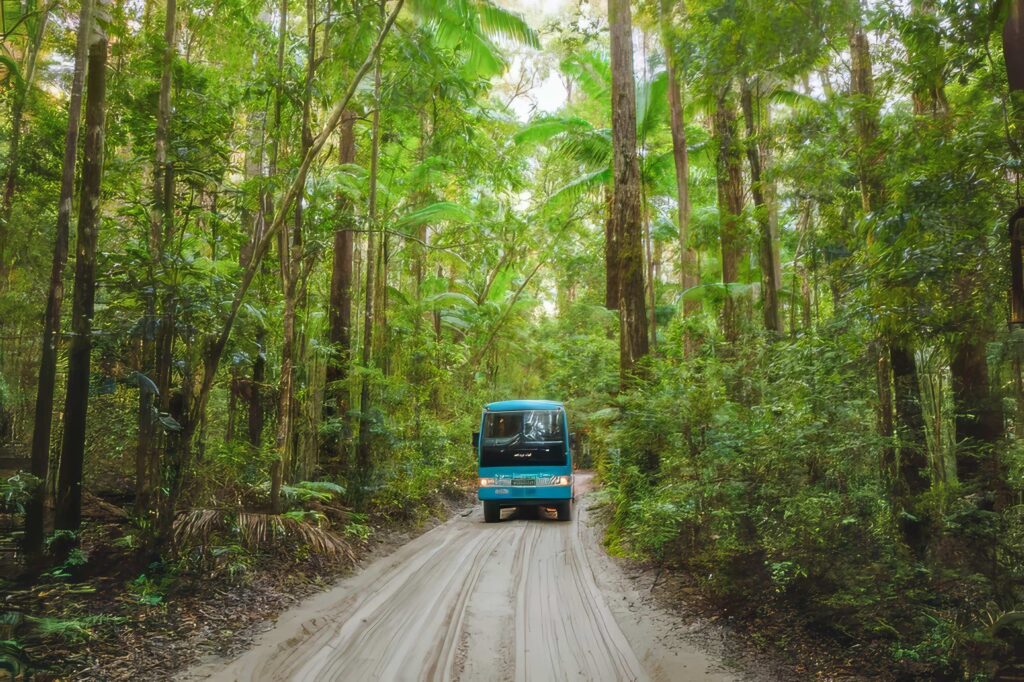 弗雷澤島 旅遊攻略:機票・住宿・景點・活動 kgari fraser island copy